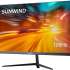 23.8" Монитор SunWind SM-24FV222,  1920x1080,  VA,  100Гц,  1хHDMI,  черный [sm24vb01]